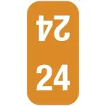 Smead &#174; compatible Year tab labels