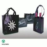 Reusable Bags