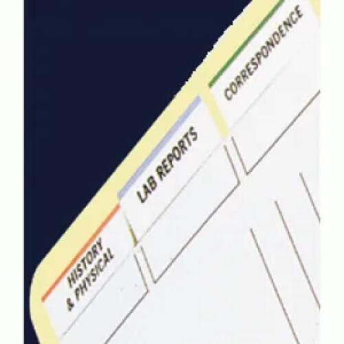 Medical Chart Index Tabs AMS Printing