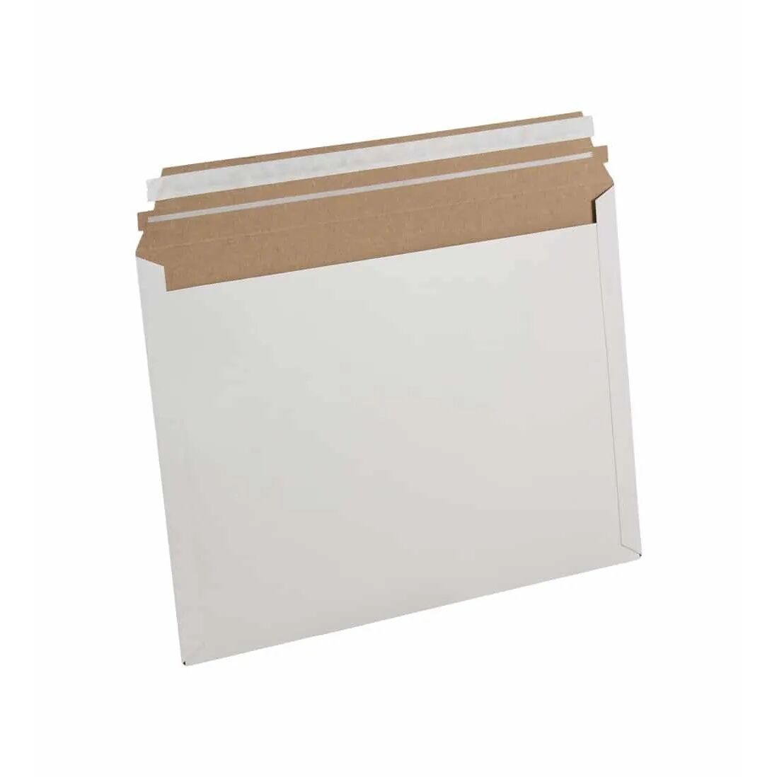 Express Pouch SelfSeal Stayflat® Mailers AMS Printing