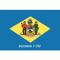 Delaware Flag with Pole Hem & Gold Fringes