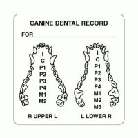 Dental Examination Record Labels