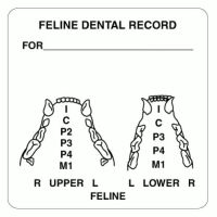 Dental Examination Record Labels