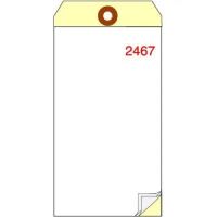 TG15420 Series Blank Tags