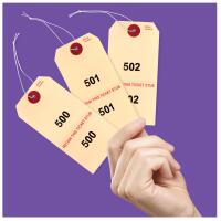 Duplicate Tags - Looped String