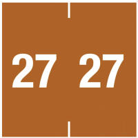 14900 Ames® compatible Year tab labels