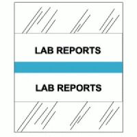 Medical Chart Index Tabs