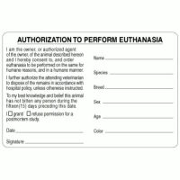 Authorization & Consent Labels