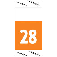 71700 Genuine Col'R'tab® Year tab labels