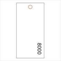 #6 Tyvek Tags With Sequential Numbering