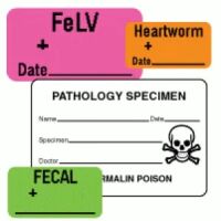 Laboratory Labels