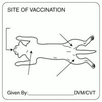 Vaccination Record Labels