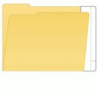 Extenda-Folder Strip for Left Tab Folders