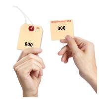 Duplicate Tags - Looped String