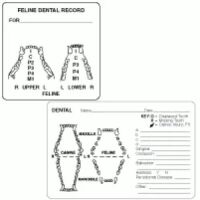 Dental Examination Record Labels