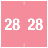 14900 Ames® compatible Year tab labels