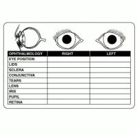 Examination Record Labels