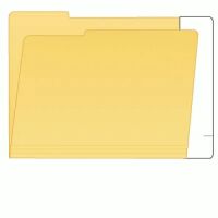 Extenda-Folder Strip with 1" Tab Extension