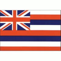 Hawaii Flag with Pole Hem & Gold Fringes