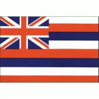 Hawaii Flag with Pole Hem & Gold Fringes