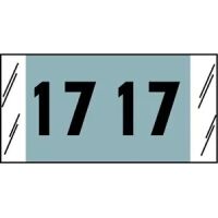 14700 Genuine Col'R'tab® Year tab labels