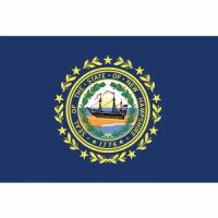 New Hampshire Flag with Pole Hem