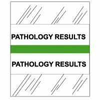 Medical Chart Index Tabs