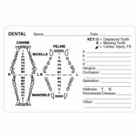 Dental Examination Record Labels