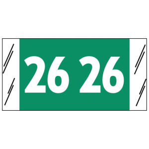 11700 Genuine Col'R'tab® Year tab labels