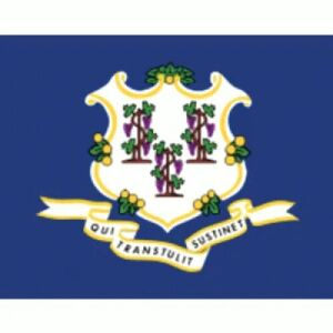 Connecticut Outdoor Flag