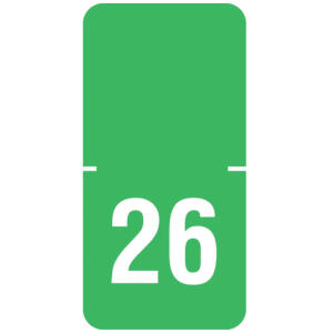 70500 Original Tabbies® Year Tabs