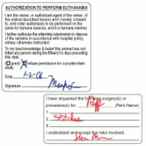 Authorization & Consent Labels