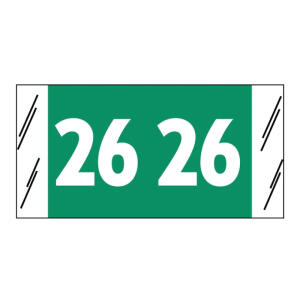 51700 Genuine Col'R'tab® Year tab labels