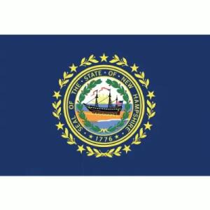 New Hampshire Flag with Pole Hem & Gold Fringes