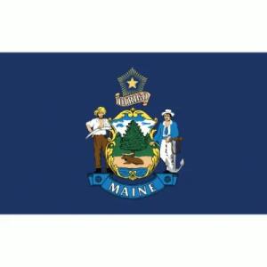 Maine Flag with Pole Hem & Gold Fringes