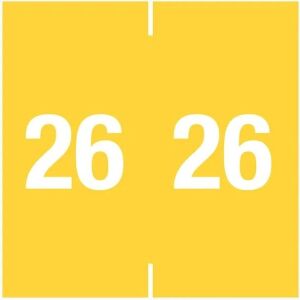 14900 Ames® compatible Year tab labels