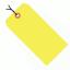 #2 Fluorescent Pre-Strung Tags (3 1/4\