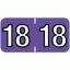 14400 Colwell® compatible Year tab labels