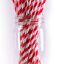 Paper Straws