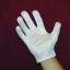 Men's Size Nylon Gloves